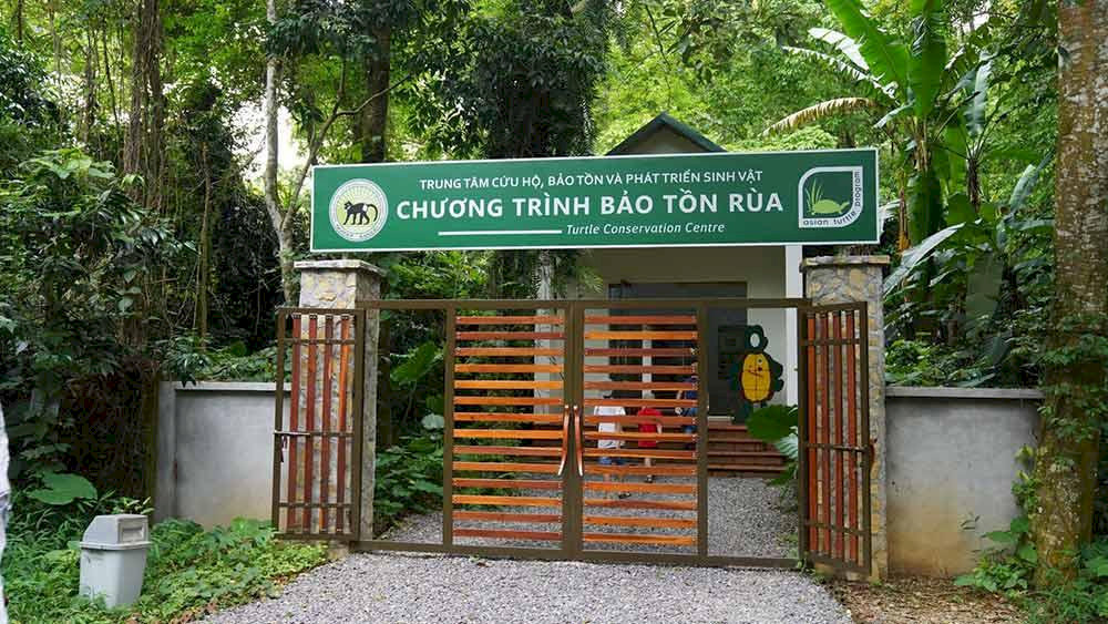 Hiện trung tâm đang chăm sóc hơn 2.000 cá thể rùa 